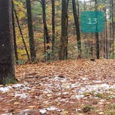 Review photo of Willard Brook State Forest by Jean C., December 18, 2020