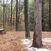 Review photo of Willard Brook State Forest by Jean C., December 18, 2020