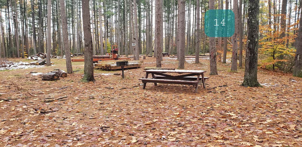 Camper-submitted photo at Willard Brook State Forest Campground near Ashby, MA