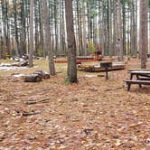 Review photo of Willard Brook State Forest by Jean C., December 18, 2020