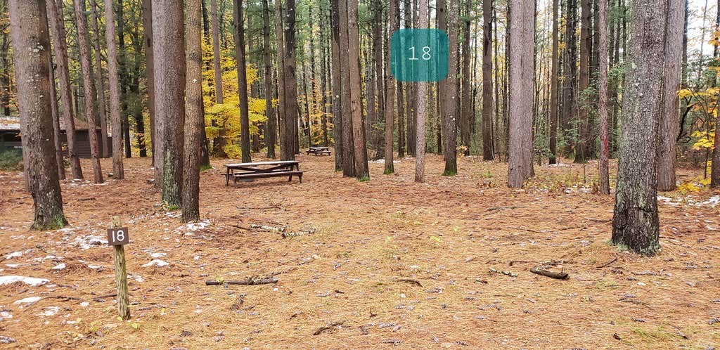 Willard Brook State Forest The Dyrt