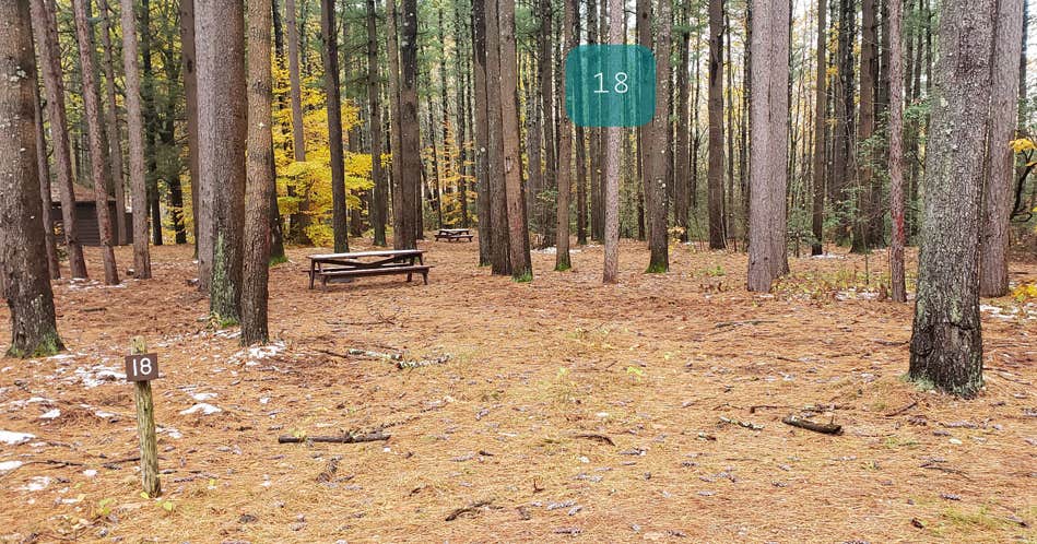 Willard Brook State Forest The Dyrt