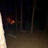 Review photo of Disney’s Fort Wilderness Resort & Campground by Doug E., December 18, 2020