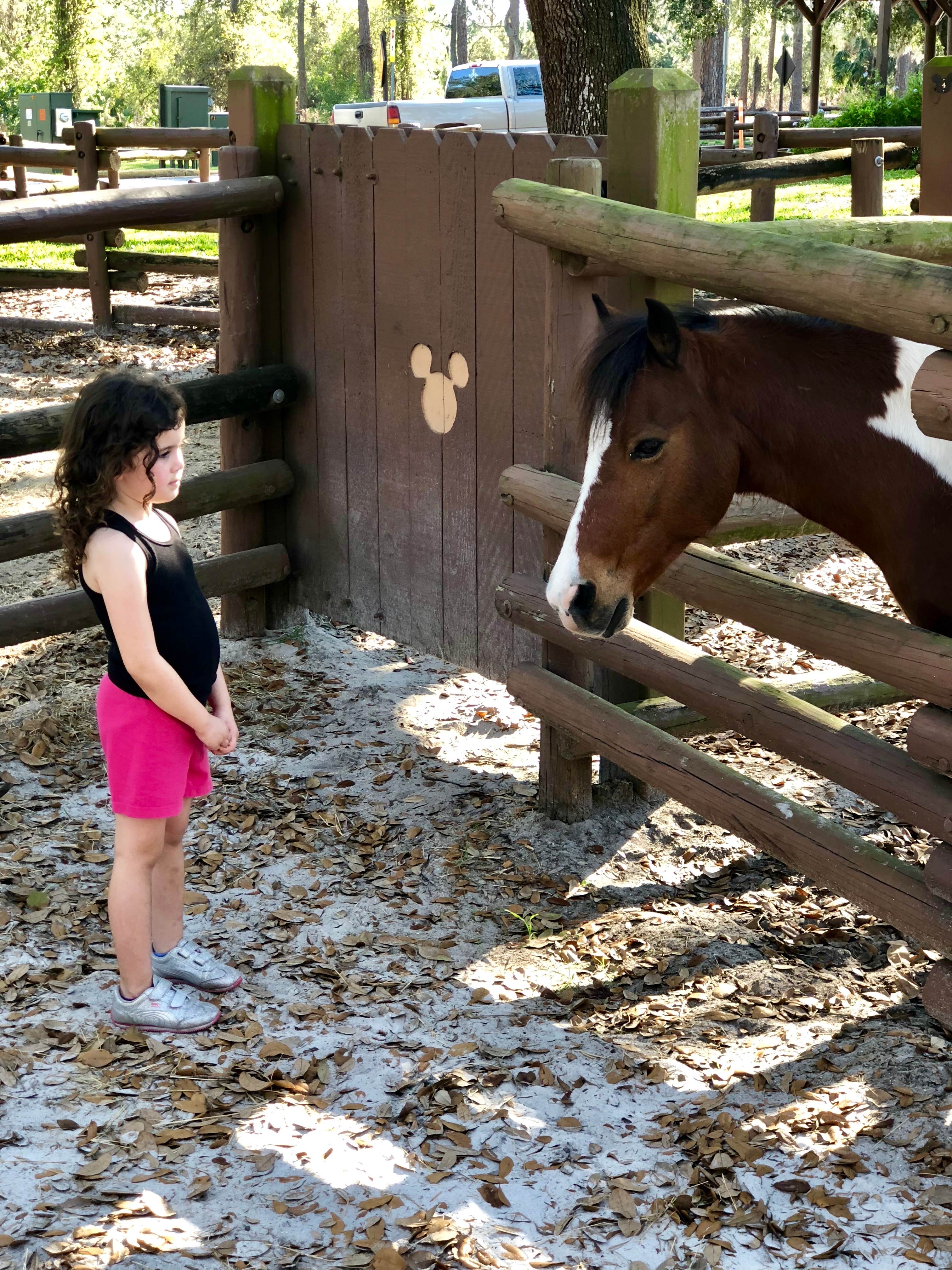 Disney’s Fort Wilderness Resort & Campground