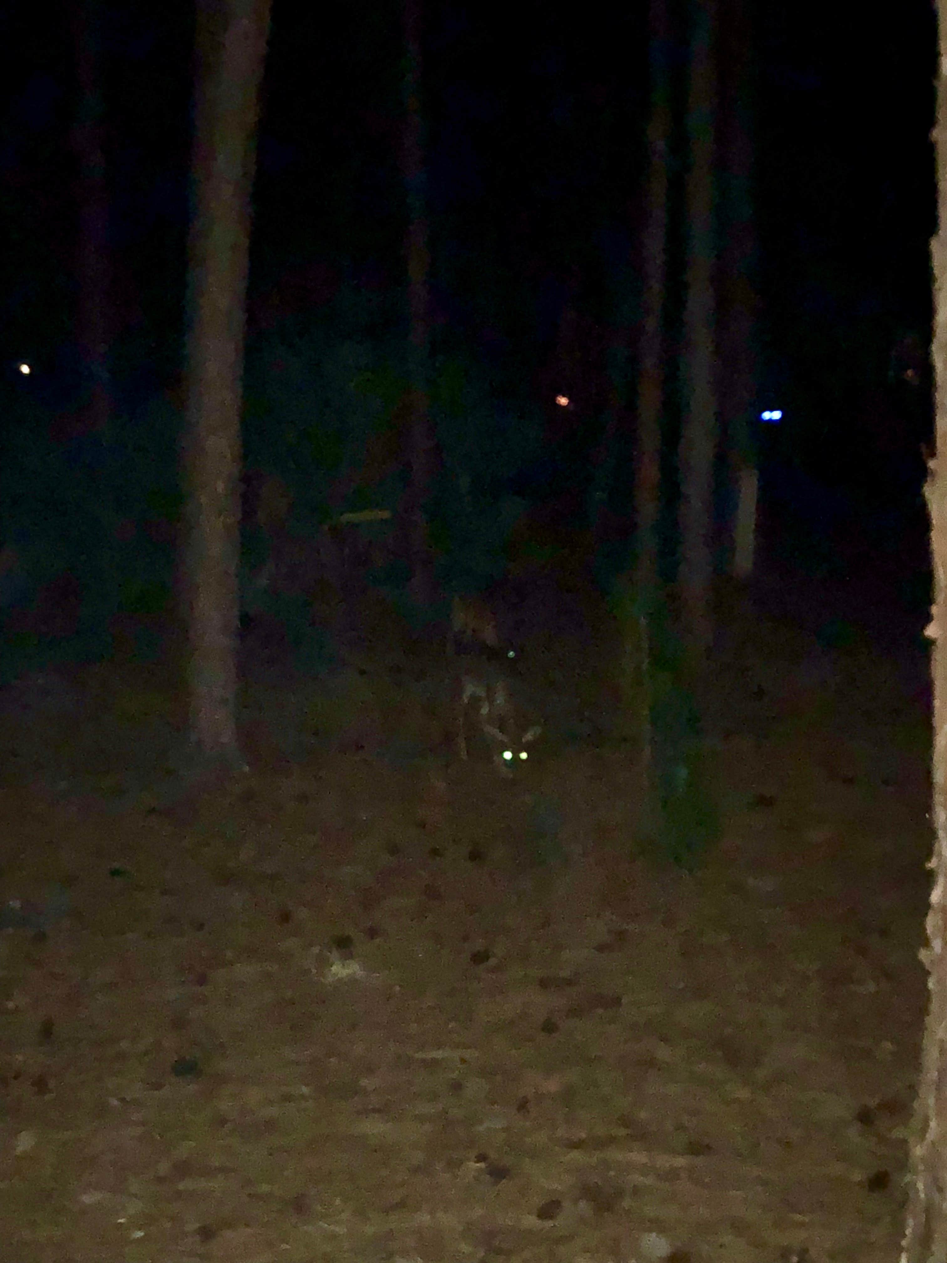 Camper-submitted photo at Disney’s Fort Wilderness Resort &amp; Campground in Florida