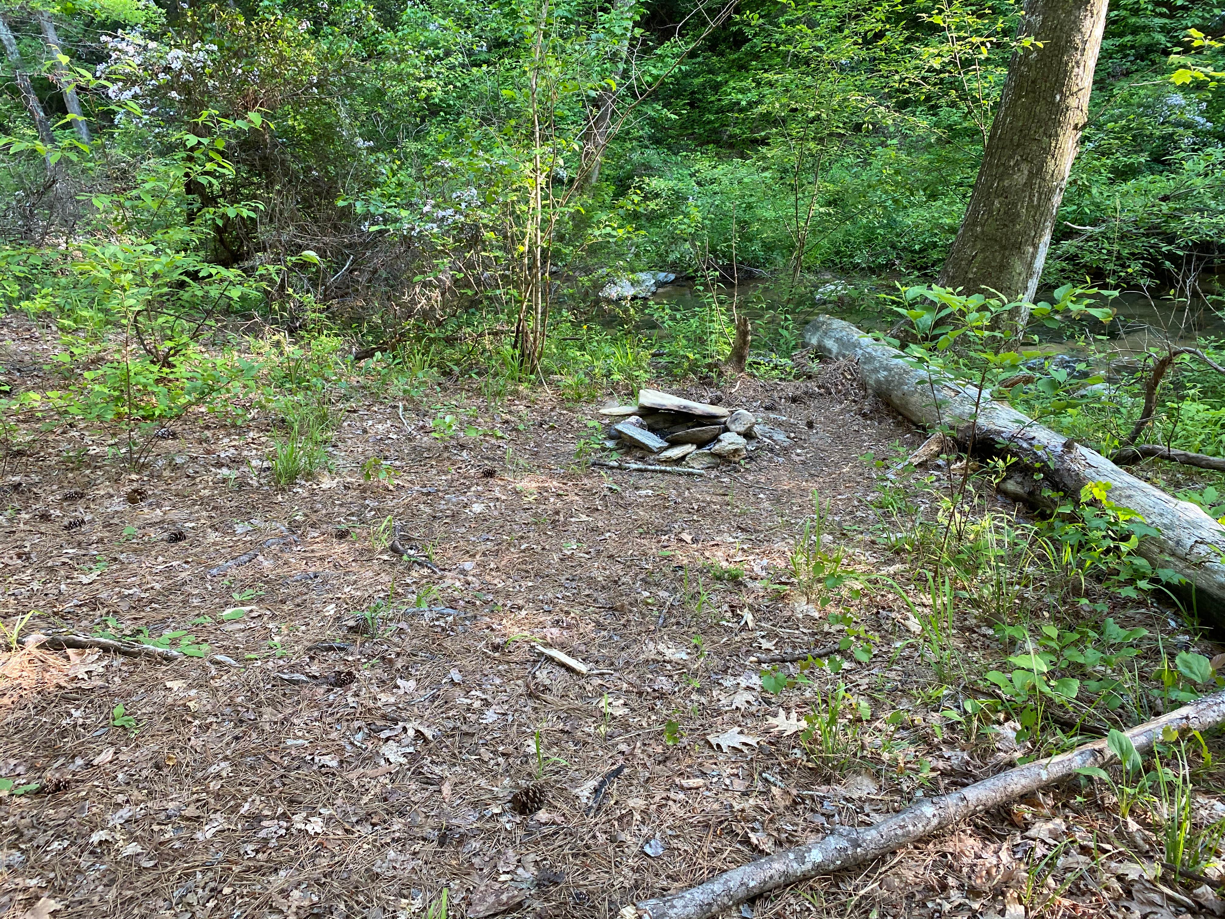 Camper-submitted photo at Chinnabee Silent Trail Backcountry Site 7 near Columbiana, AL