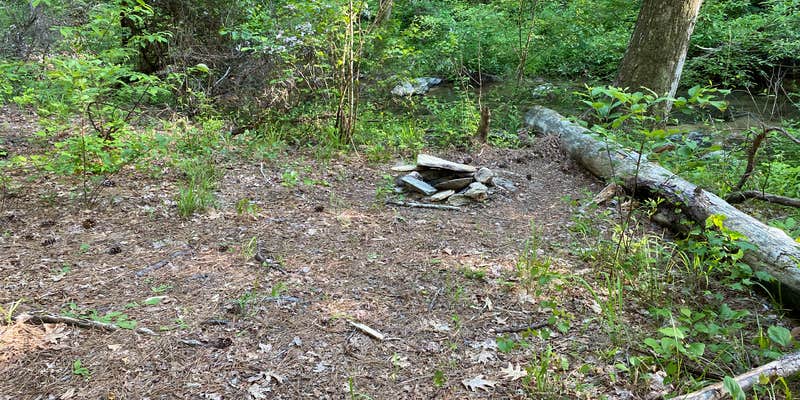 Camper submitted image from Chinnabee Silent Trail Backcountry Site 7