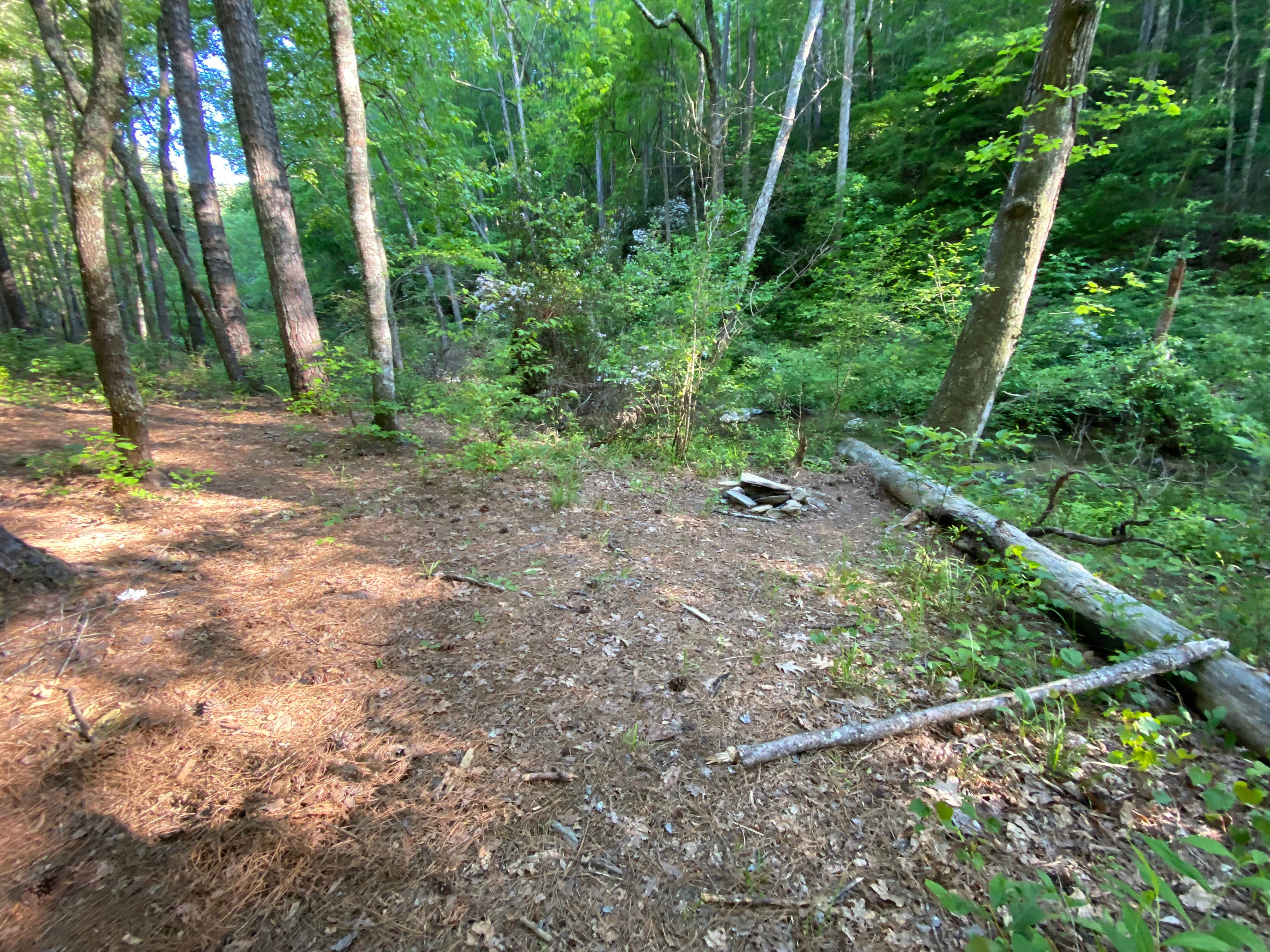 Camper-submitted photo at Chinnabee Silent Trail Backcountry Site 7 near Columbiana, AL