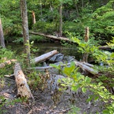 Review photo of Chinnabee Silent Trail Backcountry Site 7 by Asher K., December 18, 2020