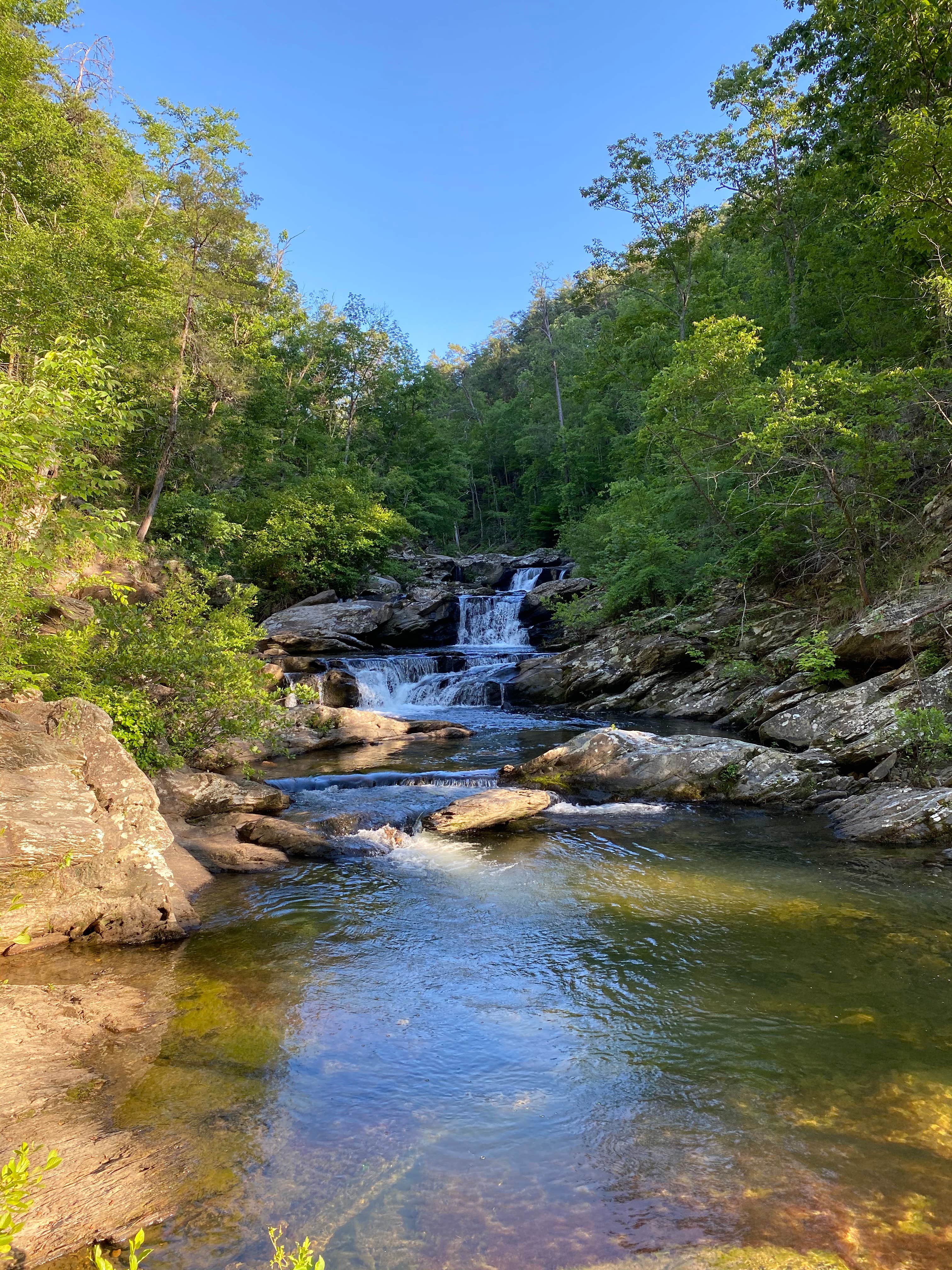 Camper-submitted photo at Chinnabee Silent Trail Backcountry Site 7 near Columbiana, AL