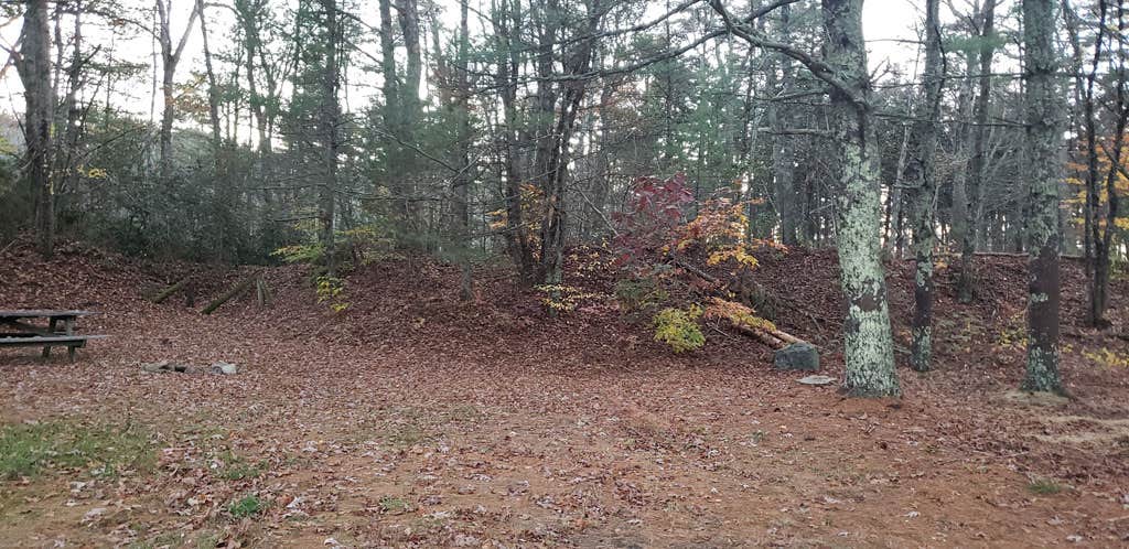 Camper-submitted photo at Frog Hollow Horse Camp at Pachaug State Forest near Haddam, CT