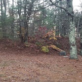 Review photo of Frog Hollow Horse Camp at Pachaug State Forest by Jean C., December 18, 2020
