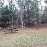 Review photo of Frog Hollow Horse Camp at Pachaug State Forest by Jean C., December 18, 2020