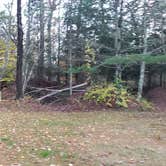 Review photo of Frog Hollow Horse Camp at Pachaug State Forest by Jean C., December 18, 2020