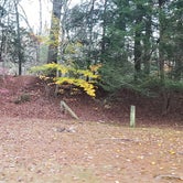 Review photo of Frog Hollow Horse Camp at Pachaug State Forest by Jean C., December 18, 2020