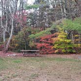 Review photo of Frog Hollow Horse Camp at Pachaug State Forest by Jean C., December 18, 2020