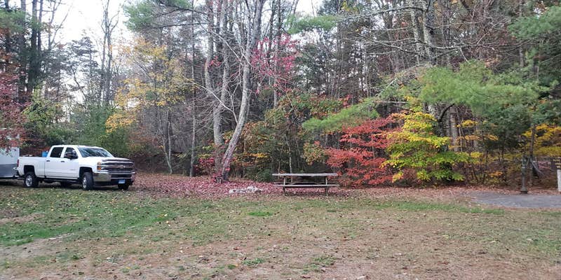 Camper submitted image from Frog Hollow Horse Camp at Pachaug State Forest