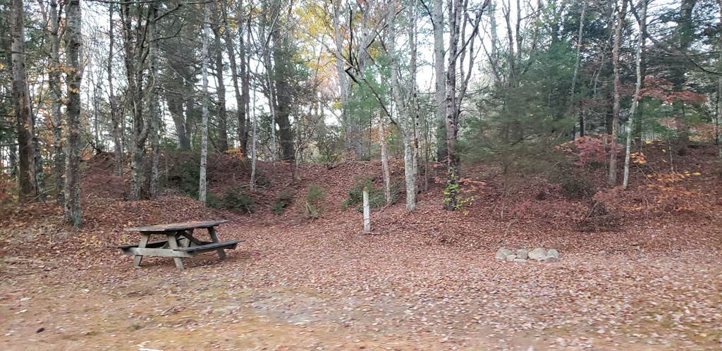 Camper-submitted photo at Frog Hollow Horse Camp at Pachaug State Forest near Haddam, CT