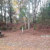 Review photo of Frog Hollow Horse Camp at Pachaug State Forest by Jean C., December 18, 2020