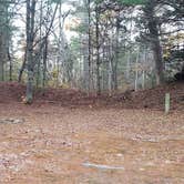 Review photo of Frog Hollow Horse Camp at Pachaug State Forest by Jean C., December 18, 2020