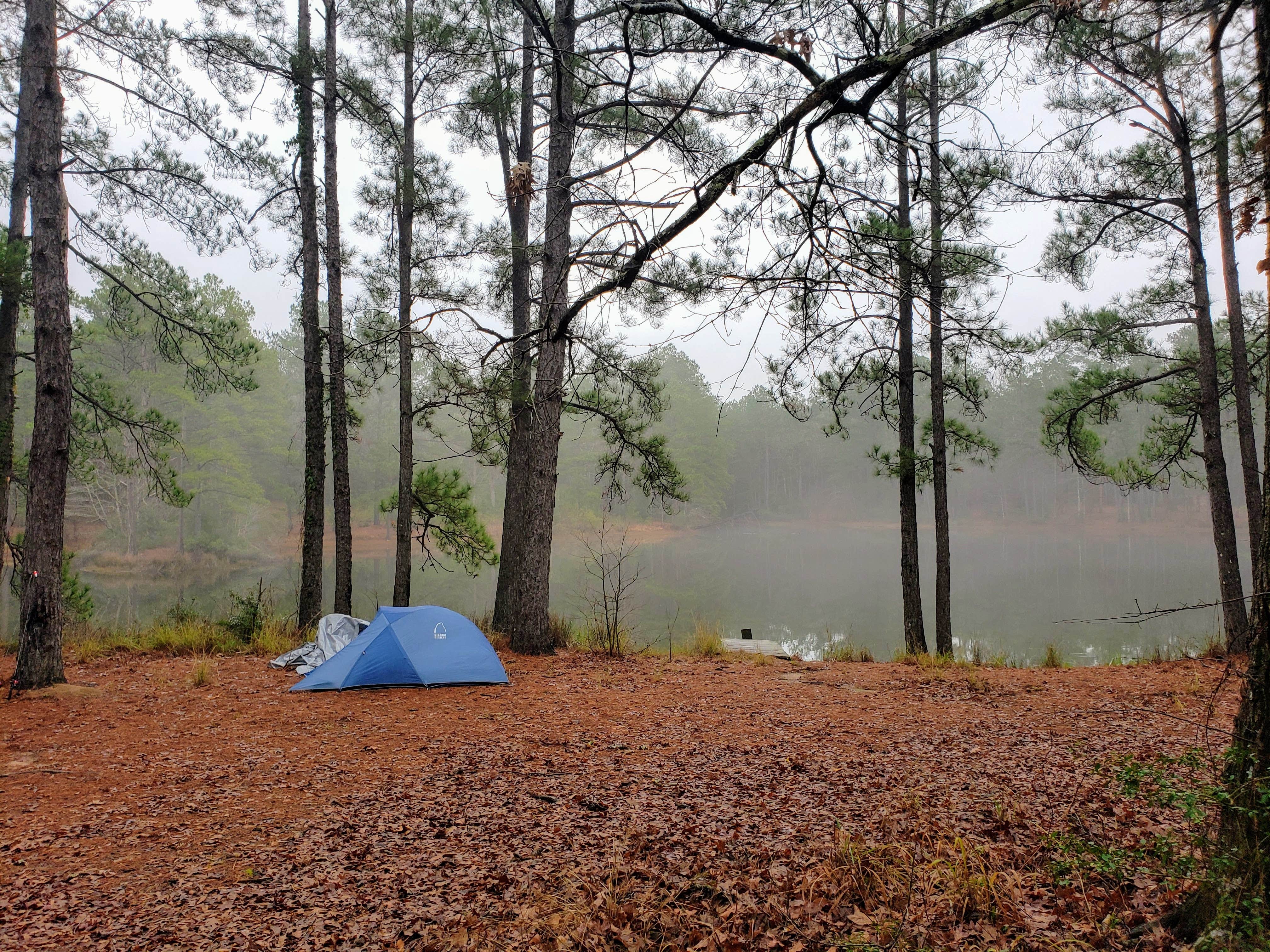 Camper submitted image from Lake Niederhoffer Campsite - 5