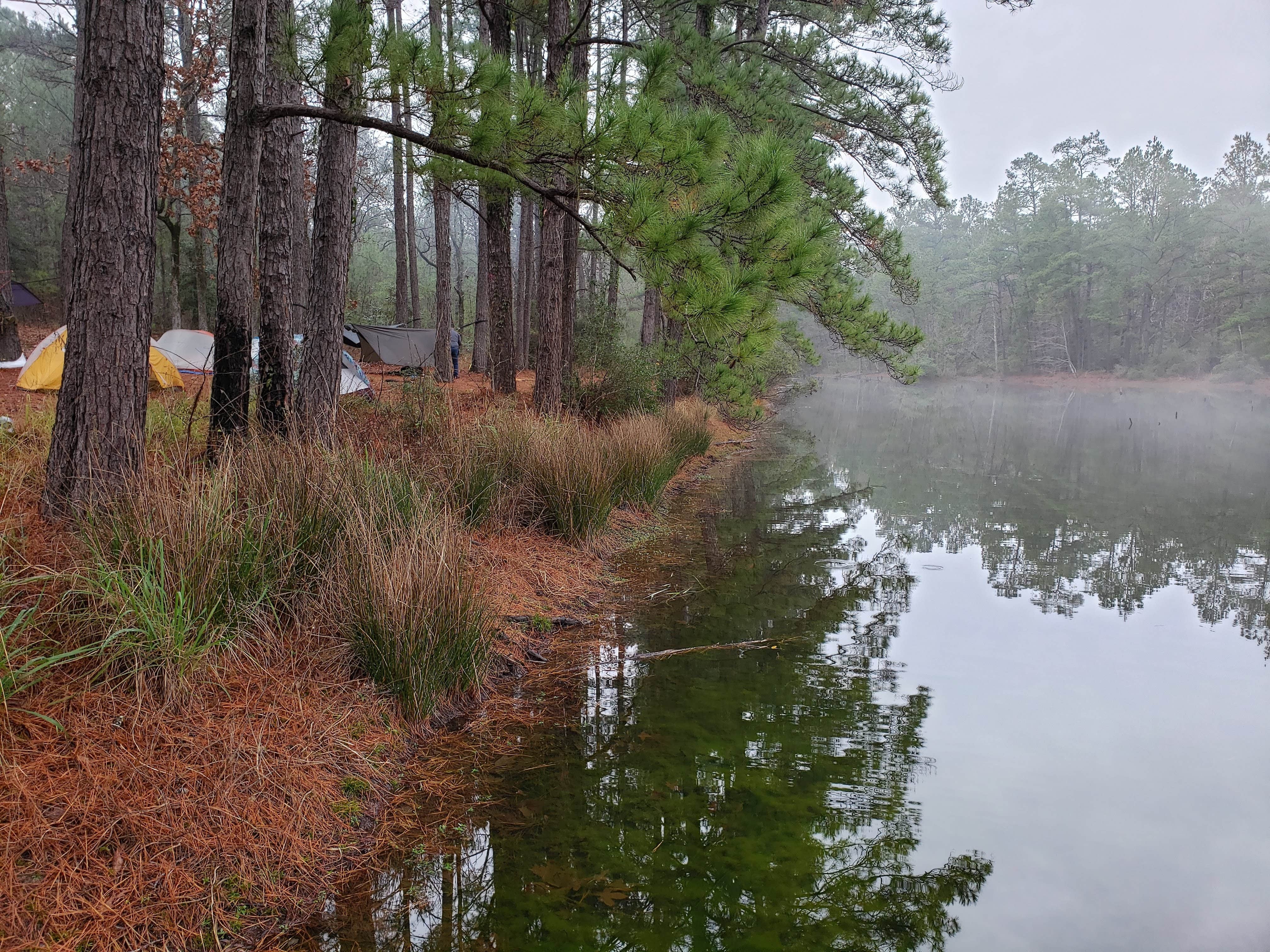 Camper submitted image from Lake Niederhoffer Campsite - 3