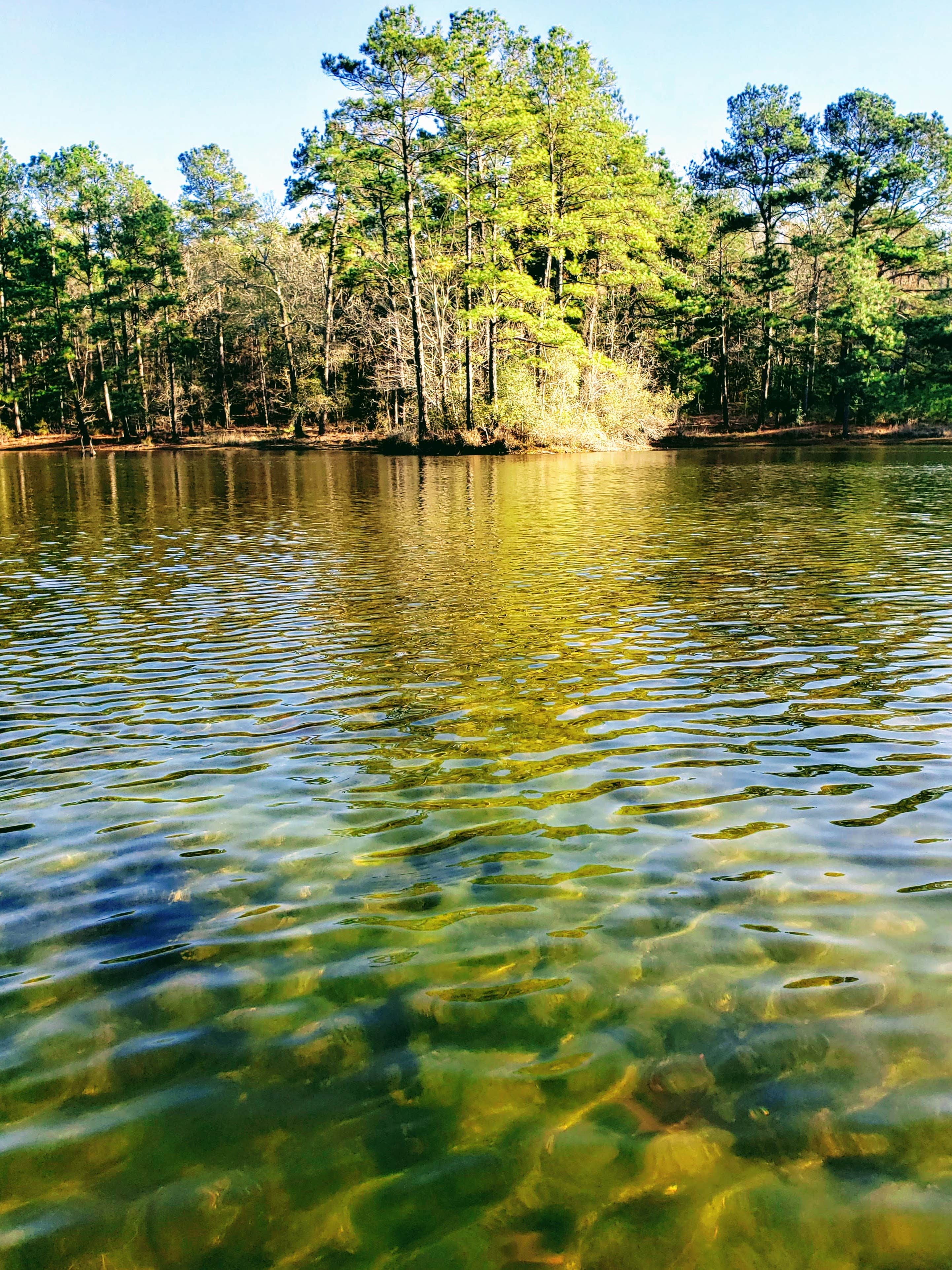 Camper submitted image from Lake Niederhoffer Campsite - 2