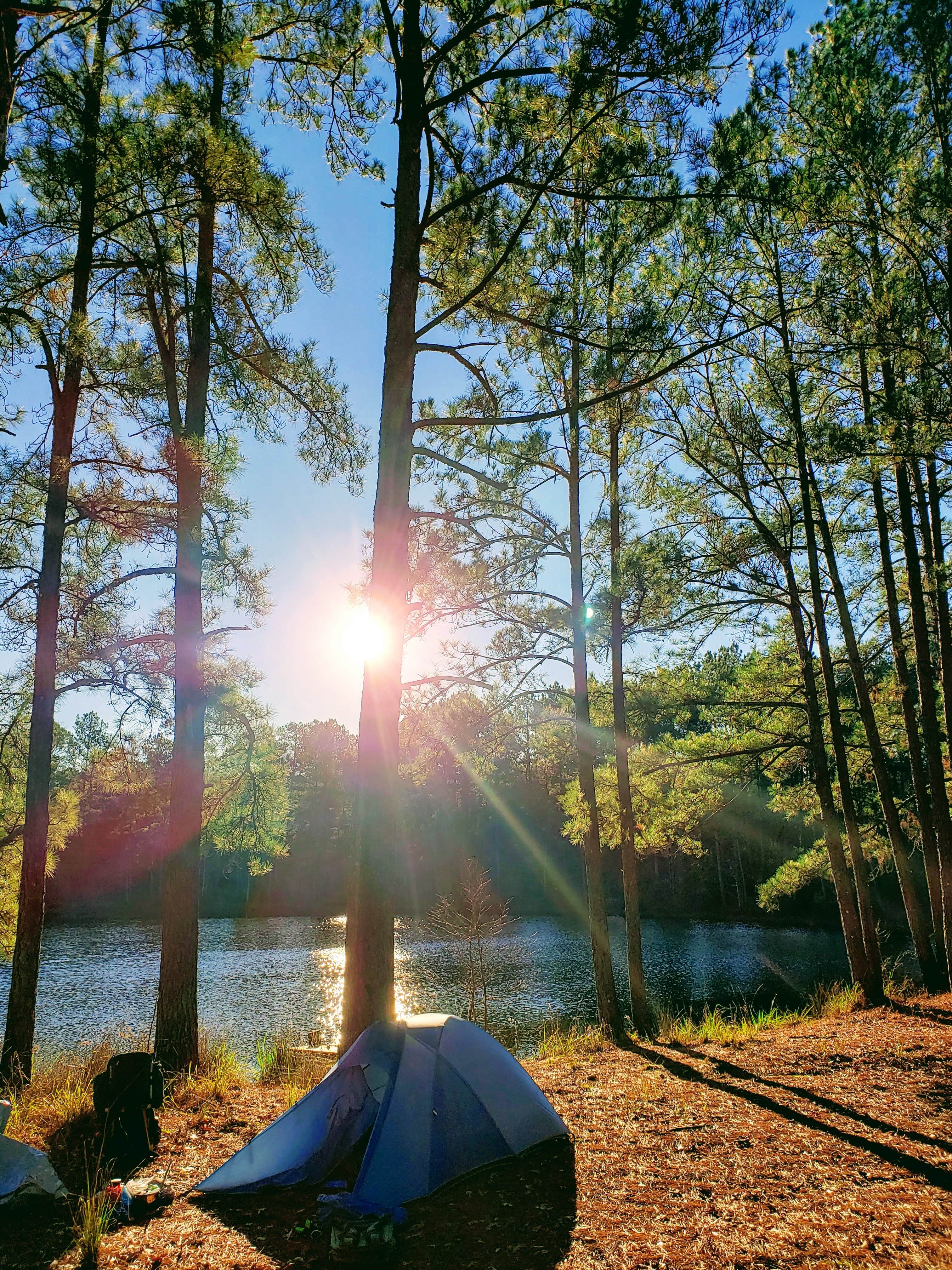 Camper submitted image from Lake Niederhoffer Campsite - 1