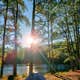Lake Niederhoffer Campsite