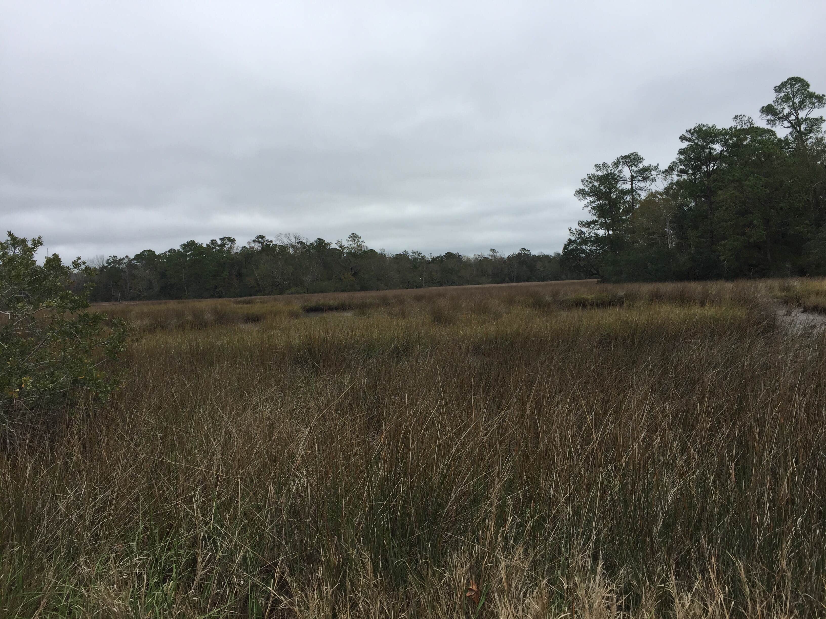 Camper-submitted photo at Davis Bayou Campground — Gulf Islands National Seashore in Mississippi