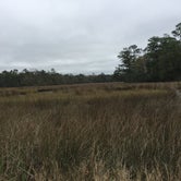 Review photo of Davis Bayou Campground — Gulf Islands National Seashore by Wendy T., December 18, 2020