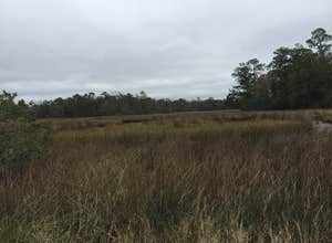 Davis Bayou Campground — Gulf Islands National Seashore