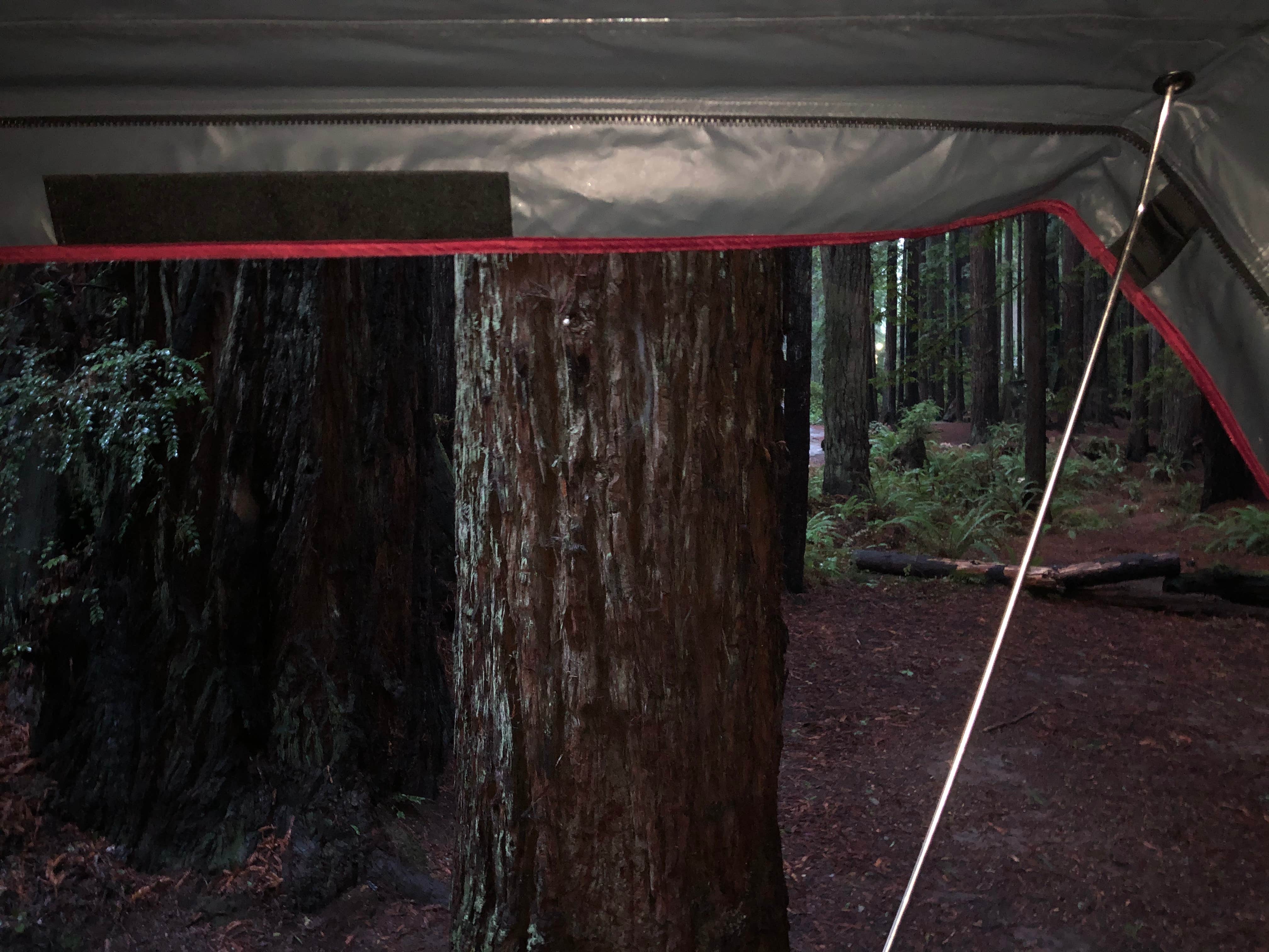 Camper-submitted photo at Florence Keller Regional Park near Klamath, CA