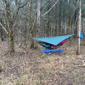 Review photo of Big River Primitive Campground by Jeremy G., December 18, 2020