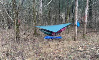 Jeremy G.'s photo of a dispersed camping area at Big River Primitive Campground near Fredericktown, MO
