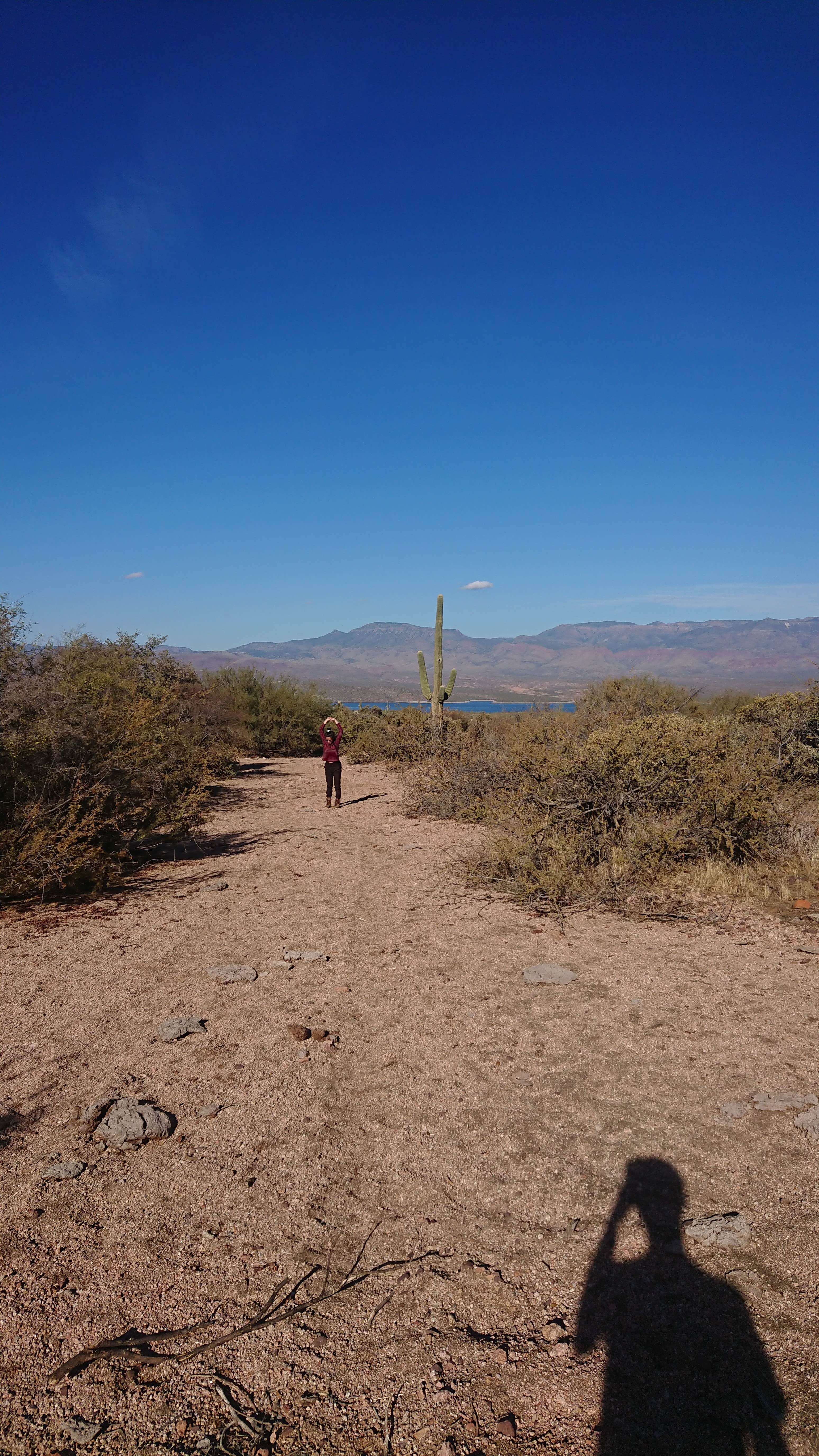 Camper-submitted photo at Tonto National Forest Dispersed Camping at Lake Roosevelt near Globe, AZ