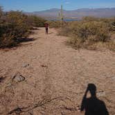 Review photo of Tonto National Forest Dispersed Camping at Lake Roosevelt by Finn L., December 18, 2020