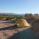 Review photo of Tonto National Forest Dispersed Camping at Lake Roosevelt by Finn L., December 18, 2020