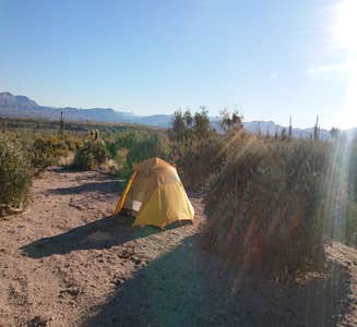Camper-submitted photo from Tonto National Forest Dispersed Camping at Lake Roosevelt