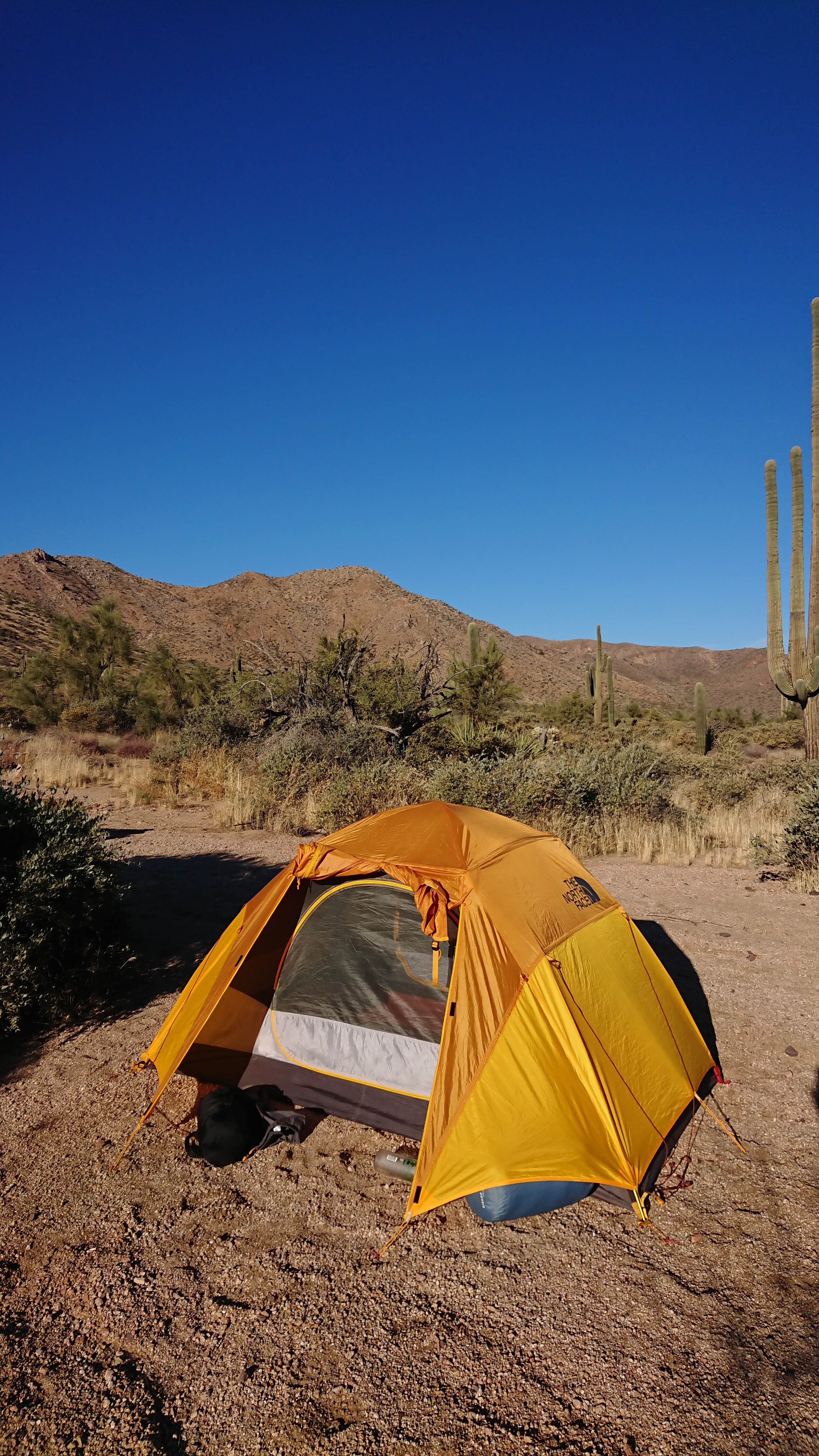 Camper-submitted photo at Tonto National Forest Dispersed Camping at Lake Roosevelt near Globe, AZ