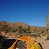 Review photo of Tonto National Forest Dispersed Camping at Lake Roosevelt by Finn L., December 18, 2020