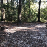 Review photo of O'Leno State Park Campground by Lilian , December 18, 2020