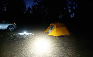 Finn L.'s photo at Lincoln National Park Forest Road 634 Dispersed near Lincoln National Forest