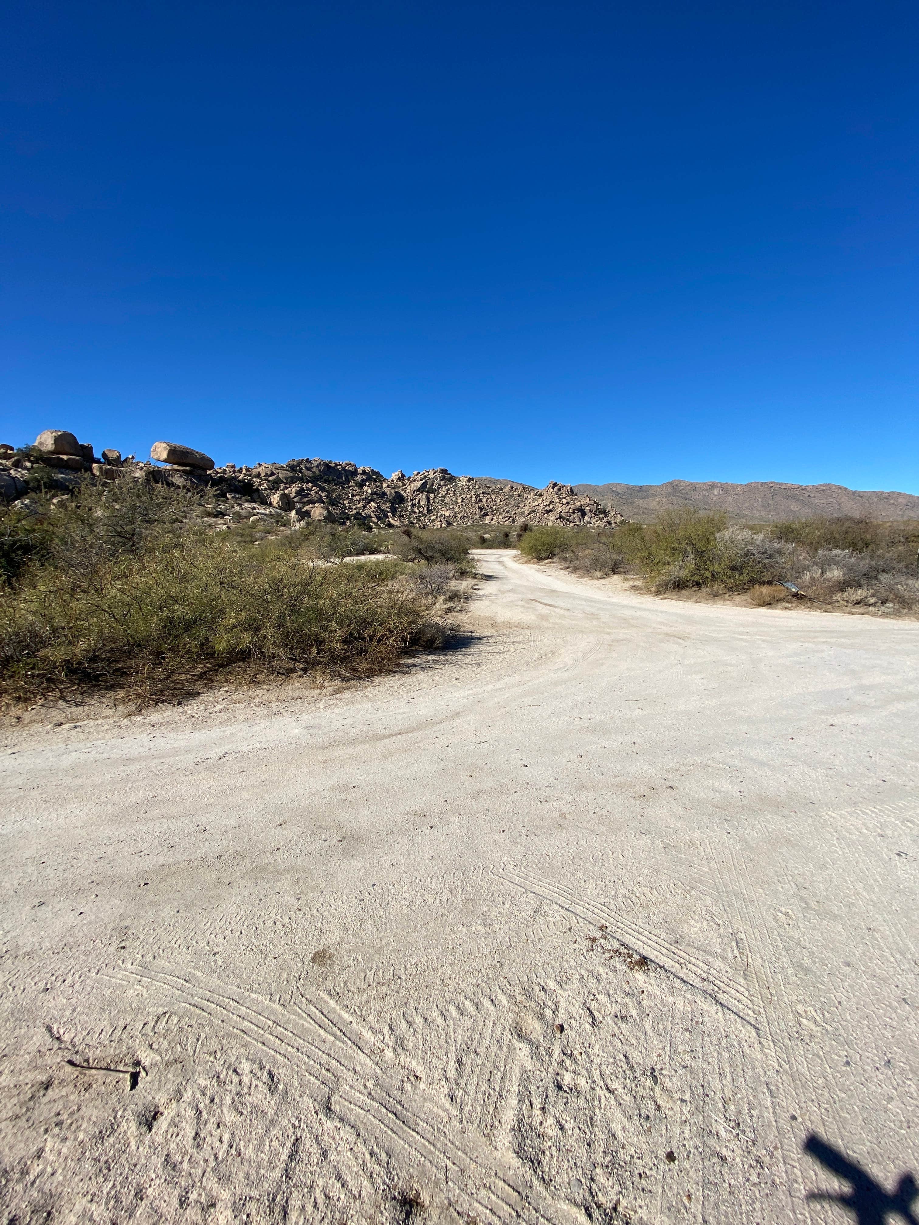 Camper-submitted photo at Happy Camp Trail near Willcox, AZ