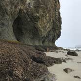 Review photo of Second Beach — Olympic National Park by Rebecca P., May 25, 2018