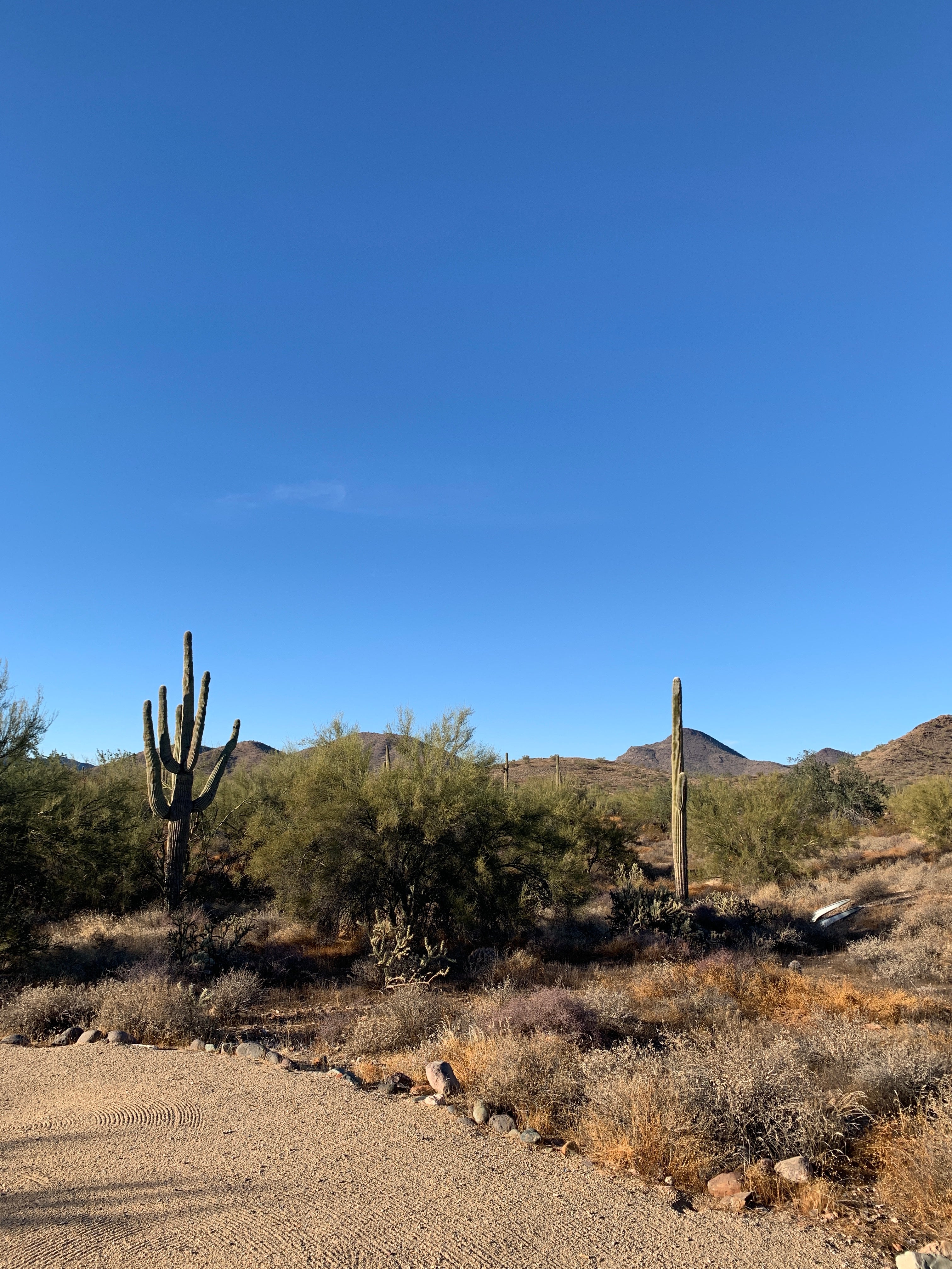 Camper submitted image from Cave Creek Regional Park - 1