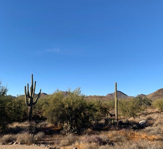 Camper-submitted photo from Cave Creek Regional Park