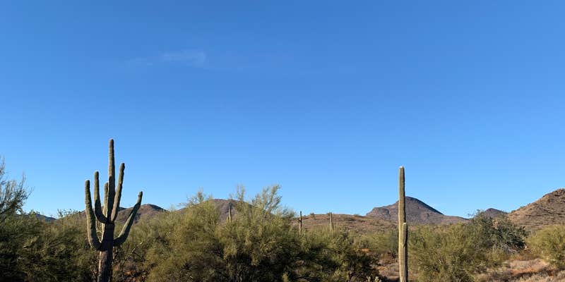 Camper submitted image from Cave Creek Regional Park