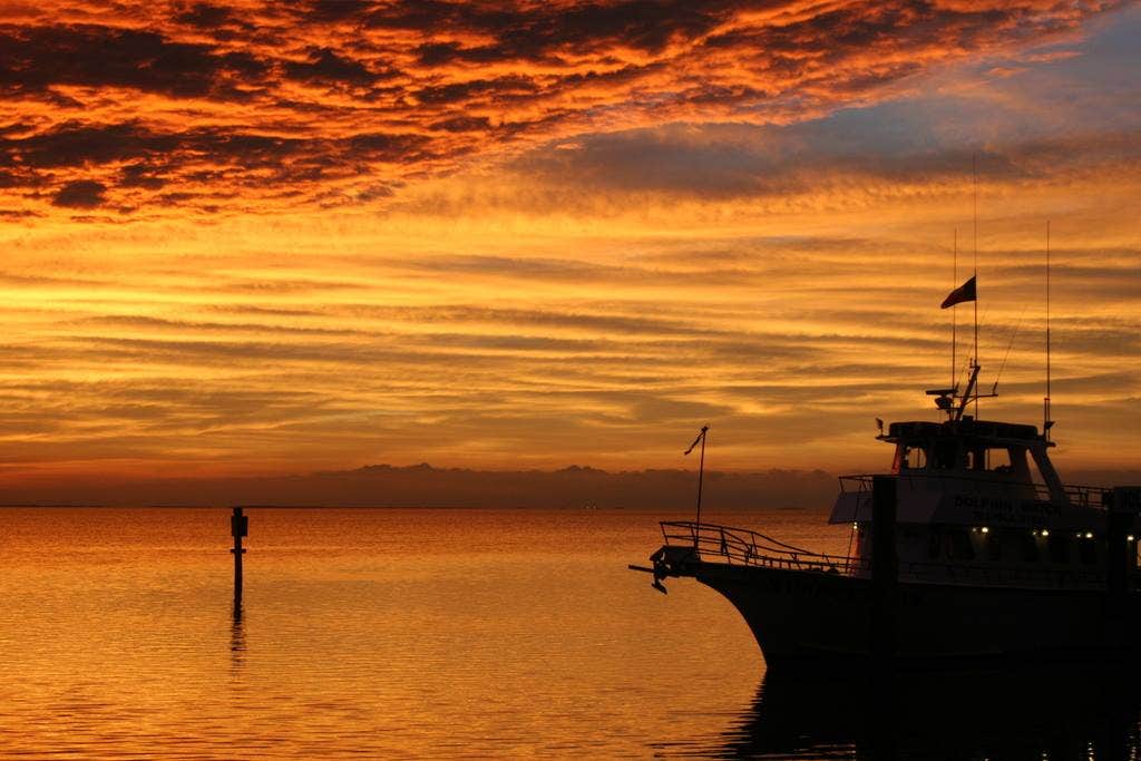 Camper-submitted photo at Tropical Trails RV Resort near Harlingen, TX