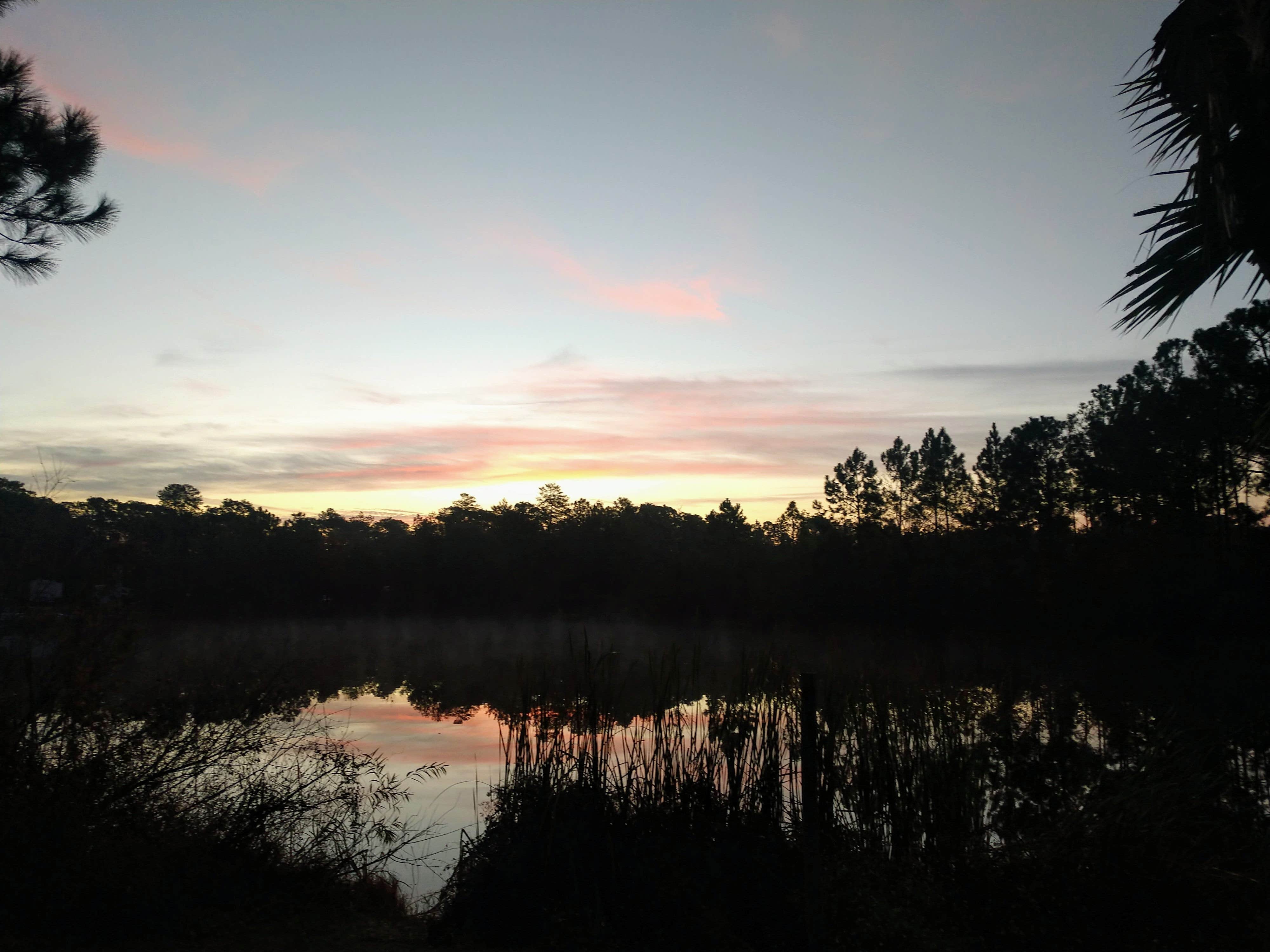 Camper-submitted photo at Cody's RV Park near Aripeka, FL